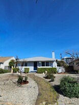 2942 Midvale Ave in Los Angeles, CA - Building Photo