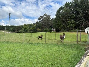 368 White Pine Crossover in Jasper, GA - Building Photo - Building Photo