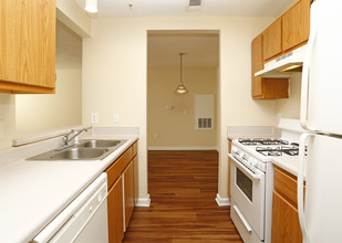 Forest Glen Apartments in Durham, NC - Foto de edificio - Interior Photo