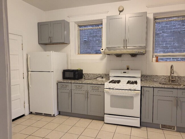 1052 W 32nd St in Chicago, IL - Building Photo - Building Photo