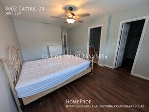 8602 Cattail Dr in Tampa, FL - Building Photo - Building Photo
