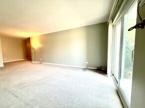 2343 Ogden Ave in Downers Grove, IL - Building Photo - Building Photo