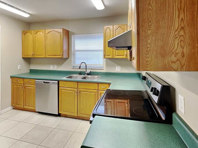 4325 Longshore Dr in Land O Lakes, FL - Building Photo - Building Photo
