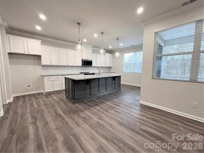 16628 Summers Walk Blvd in Davidson, NC - Building Photo - Building Photo