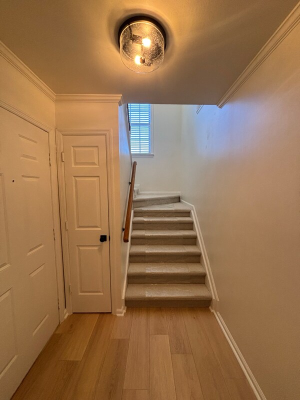 232 Cottage Pl in Nashville, TN - Foto de edificio - Building Photo