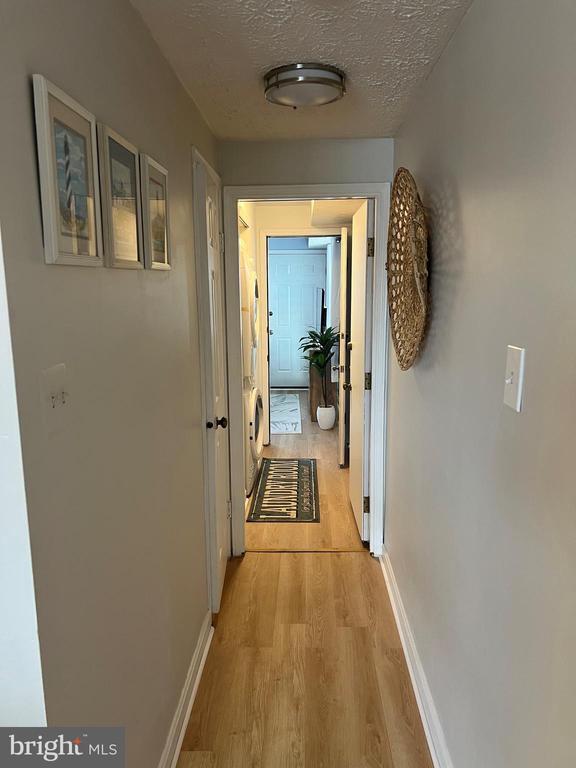 12210 Coastal Hwy in Ocean City, MD - Building Photo - Building Photo