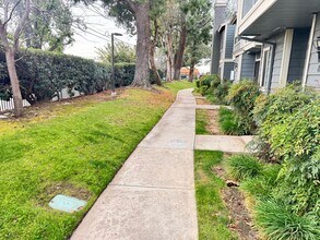 8784 Pine Crest Pl in Rancho Cucamonga, CA - Building Photo - Building Photo