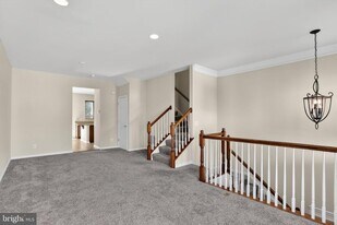 42671 Redeemer Terrace in Ashburn, VA - Building Photo