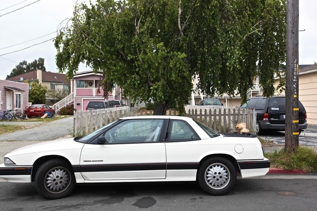 752-764 6th Ave in San Bruno, CA - Building Photo - Building Photo