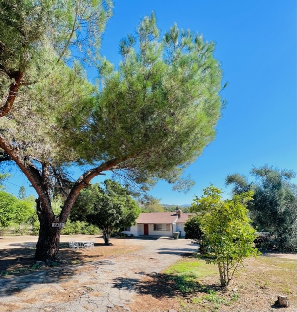 2462 Gum Tree Ln in Fallbrook, CA - Building Photo