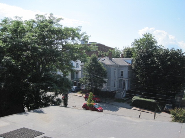 450 Cumberland Ave, Unit 3