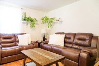 3 Dalton St in Asheville, NC - Building Photo - Building Photo