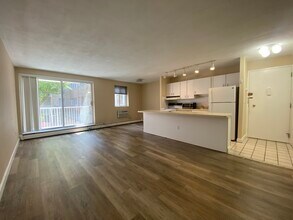 123 Sewall Ave, Unit 1A in Brookline, MA - Building Photo - Building Photo