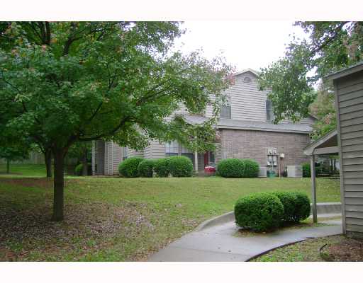 English Ivy in Fayetteville, AR - Foto de edificio