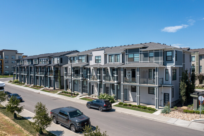 Seton Townhomes in Calgary, AB - Building Photo - Building Photo