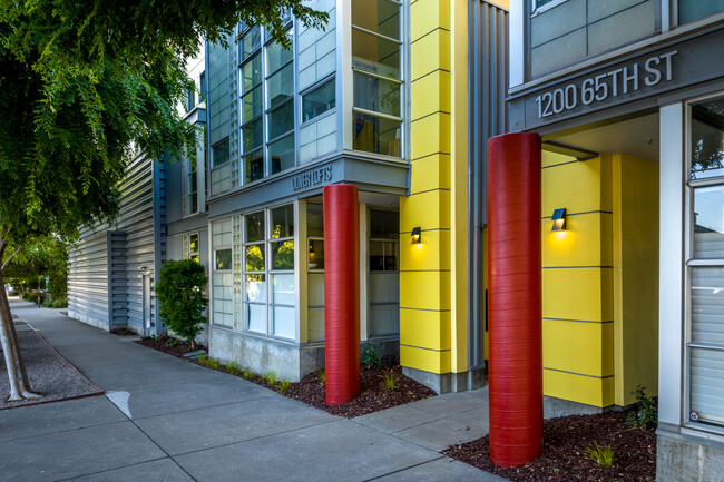 Oliver Lofts in Emeryville, CA - Building Photo - Building Photo