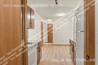 610 N Coraline St, Unit 4 in Woodland Park, CO - Building Photo - Building Photo