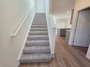 5919 Hawkweed Dr in Naperville, IL - Building Photo - Building Photo