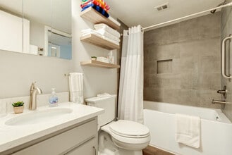 2205 Spring Creek Dr, Unit SI ID1054226P in Austin, TX - Building Photo - Building Photo