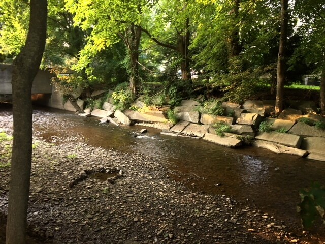 390 Main St in Otego, NY - Building Photo - Building Photo