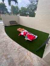 9823 SW 93rd Ter in Miami, FL - Building Photo - Building Photo