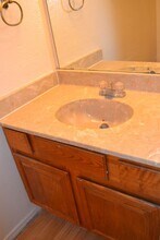 3053 Olympia Dr in Denton, TX - Building Photo - Building Photo
