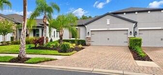 19379 Hawk Vly Dr in Tampa, FL - Building Photo