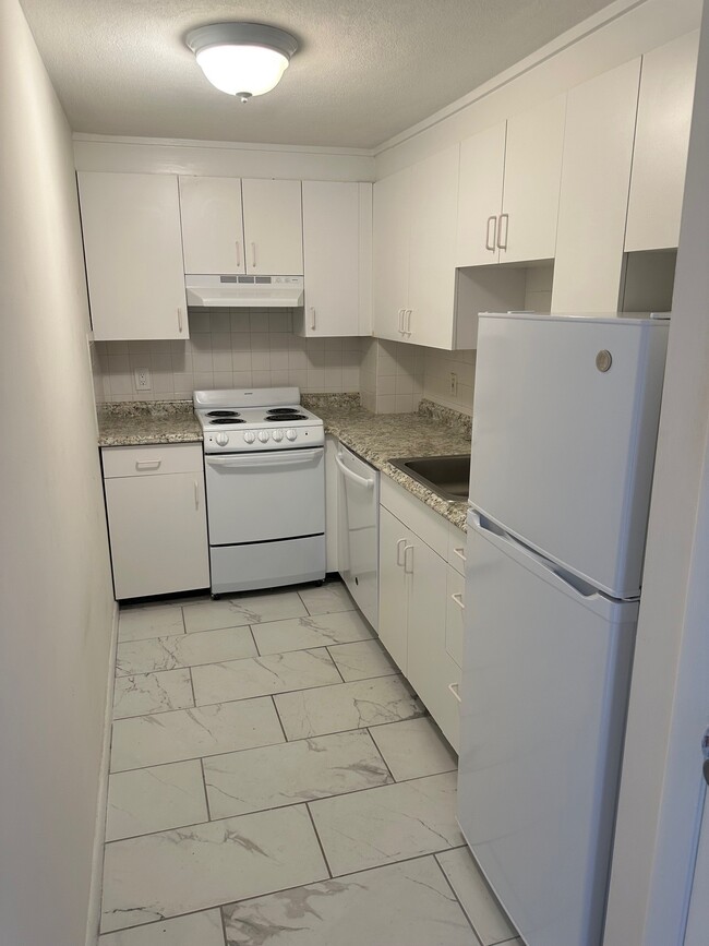 259 Harvard St, Unit 3 in Cambridge, MA - Building Photo - Building Photo