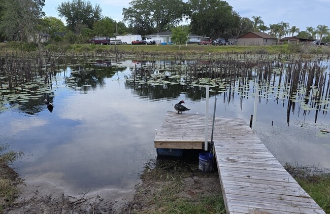 property at 2033 Quintilis Ct