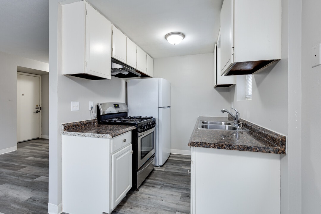 Powderhorn Park Apartments in Minneapolis, MN - Building Photo