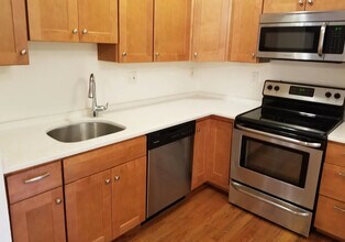 39 E Springfield St, Unit 41-4 in Boston, MA - Building Photo - Building Photo