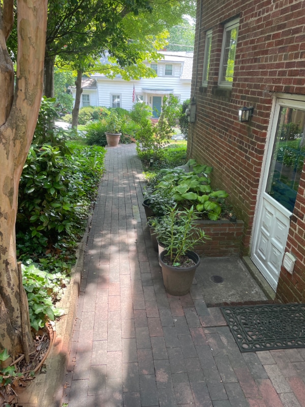 2502 Sanford St in Alexandria, VA - Building Photo - Building Photo