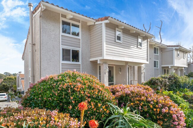 property at 28258 Rey De Copas Ln