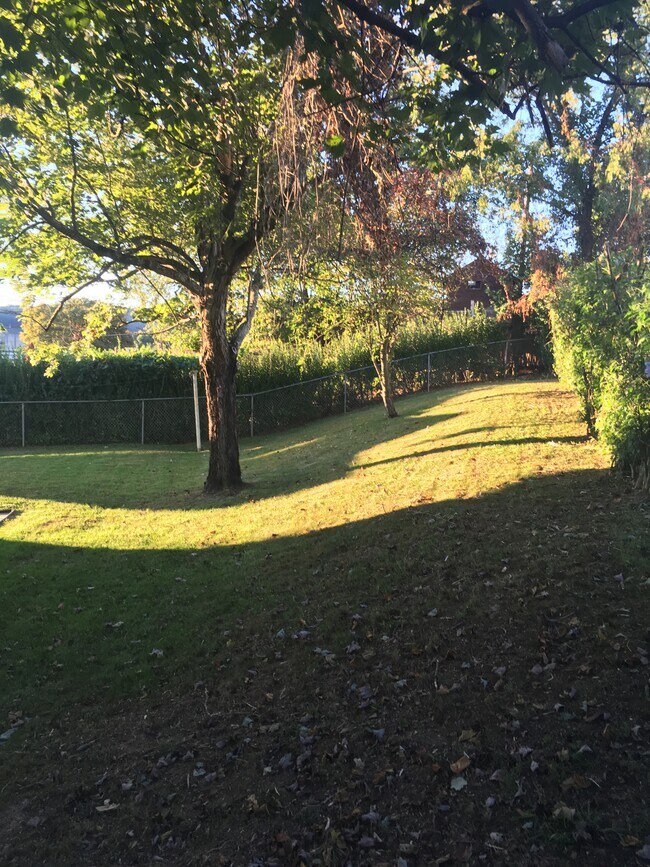 463 Lawnview Cir in Morgantown, WV - Building Photo - Building Photo