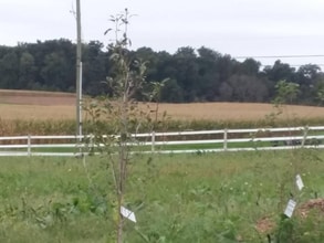 50 Buckwalter Rd in Spring City, PA - Foto de edificio - Building Photo