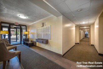 222 Babcock St in Brookline, MA - Building Photo - Building Photo