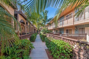 2556 Chicago St in San Diego, CA - Building Photo