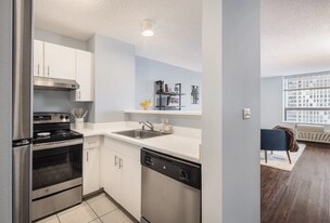 454 E Ohio St in Chicago, IL - Building Photo