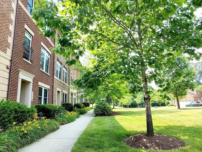 property at 342 White Ash Pl