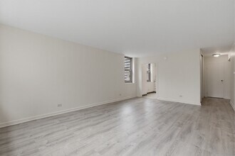 253 E Delaware Pl, Unit #  012H in Chicago, IL - Building Photo - Building Photo