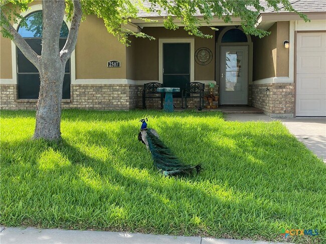 2507 Isabelle Dr in Copperas Cove, TX - Building Photo - Building Photo