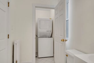 847 S Humphrey Ave, Unit 3 in Oak Park, IL - Building Photo - Building Photo