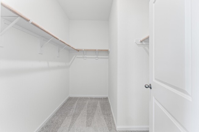 property at 8742 Vacek Xing Wy