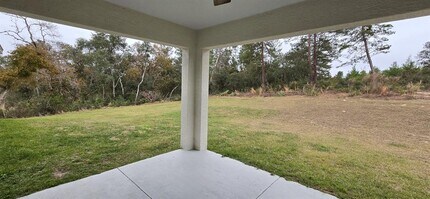 16263 SW 48th Cir in Ocala, FL - Building Photo - Building Photo