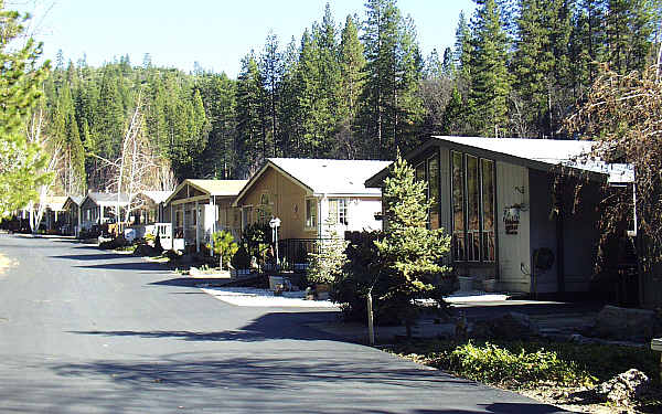 Sierra Springs Meadows in Bass Lake, CA - Building Photo