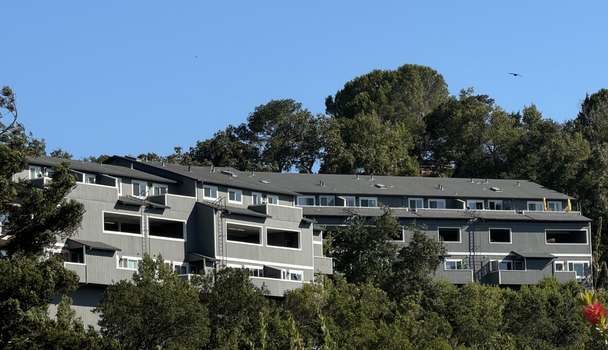 The Oaktops Apartments in San Rafael, CA - Foto de edificio