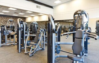 846 W Blackhawk St in Chicago, IL - Building Photo - Building Photo