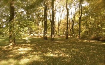 Arrowhead Ranch in Campbellsville, KY - Building Photo - Building Photo