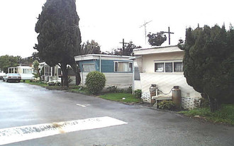 Mountain View Mobile Inn Apartments