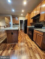 15886 Mackenzie Manor Dr in Haymarket, VA - Building Photo